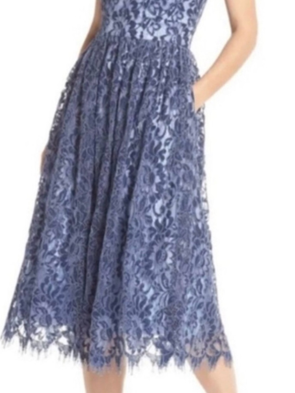 Eliza J Blue Lace Midi Skirt with Scalloped Hem